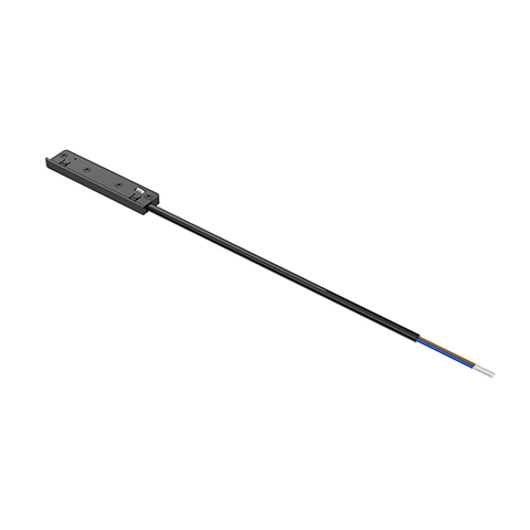 External input conductive module